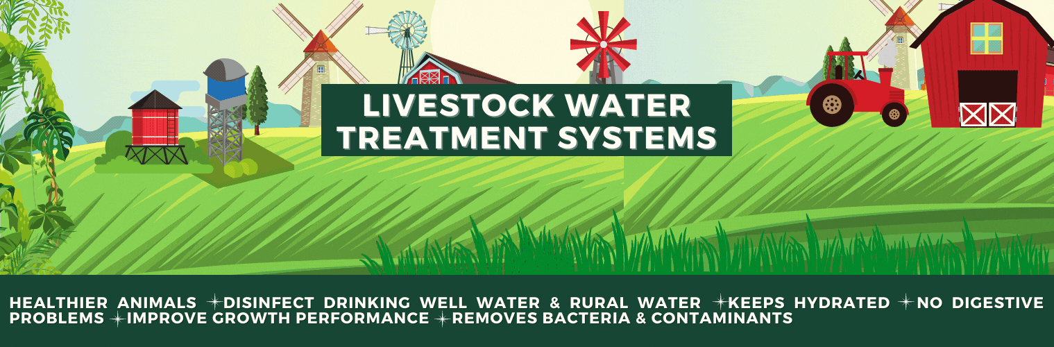 Livestock Drinking Water Treatment System Price | Animals Water Purification Supplier