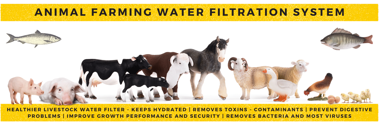 Livestock Self Cleaning Water Filtration - Horses & Cattle & Poultry & Farm animals